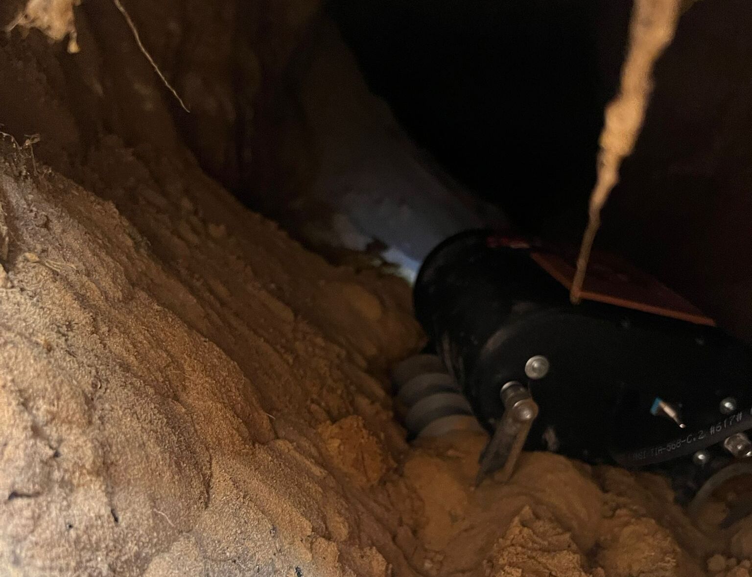 Actual beaver burrow location